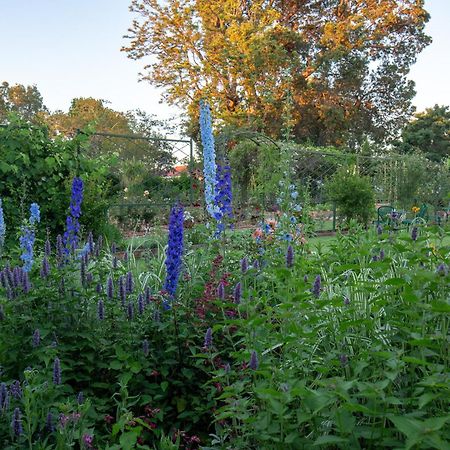 Fairview Historic Homestead George Bagian luar foto