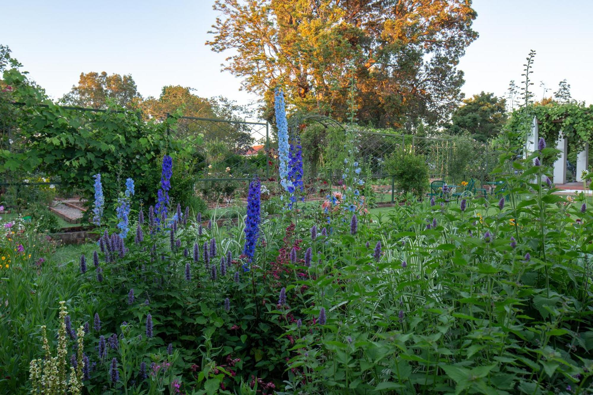 Fairview Historic Homestead George Bagian luar foto