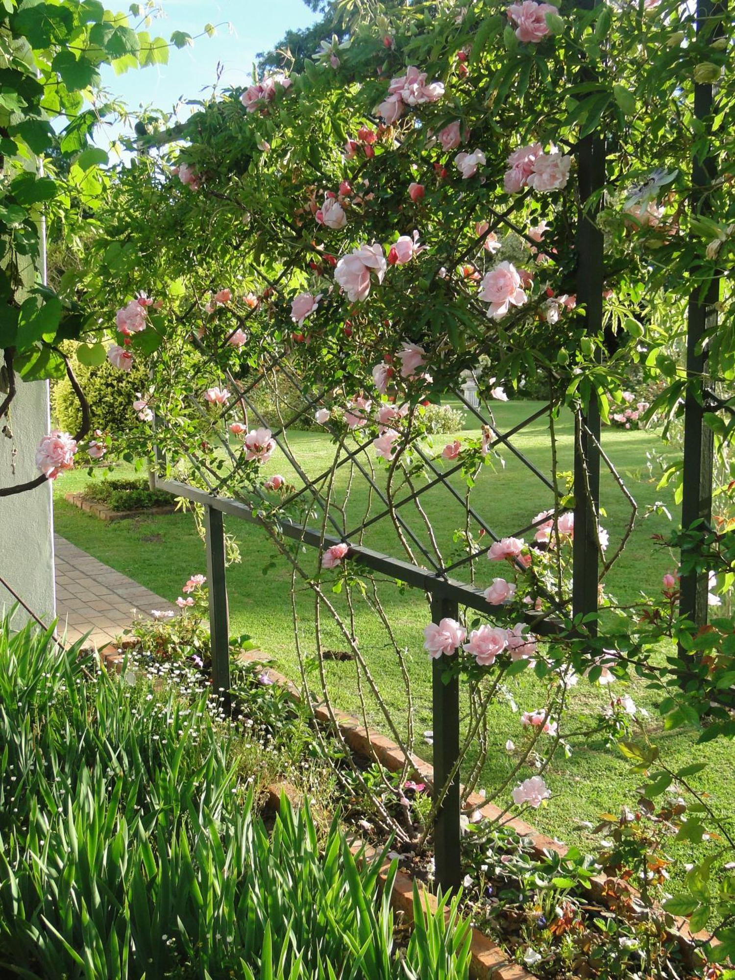 Fairview Historic Homestead George Bagian luar foto